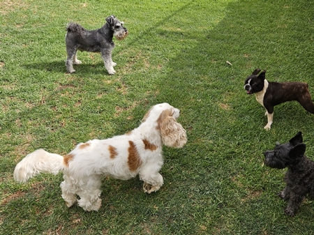 img/playtime-450x388.jpg